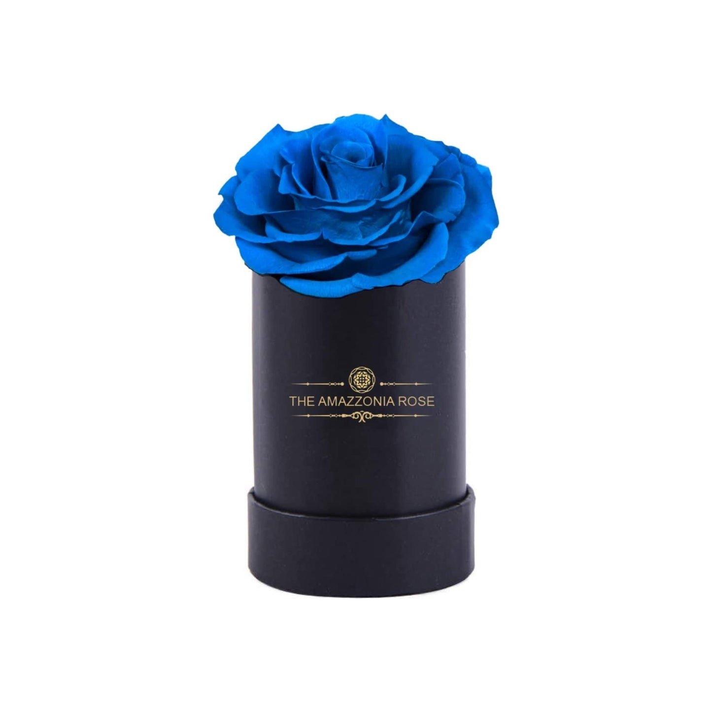 Amazzonia Bouquet 7 Rose Stabilizzate Lunga Durata Cofanetto D'amore - Blu